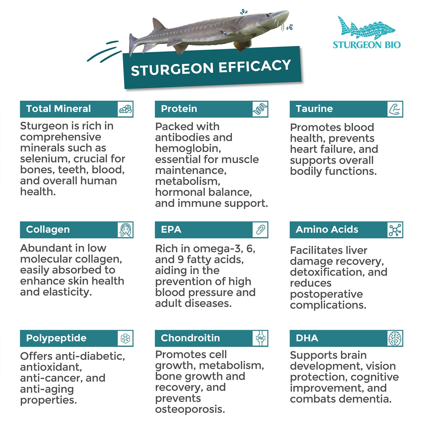 Sturgeon Total Care Cream